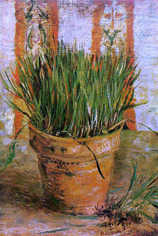Vincent Van Gogh Flowerpot with Chives - Canvas Print