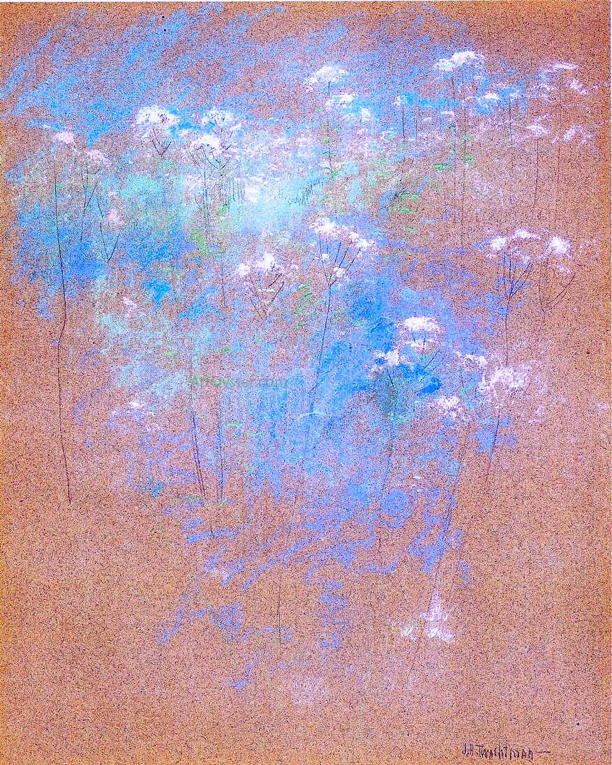 John Twachtman Flowers - Canvas Print