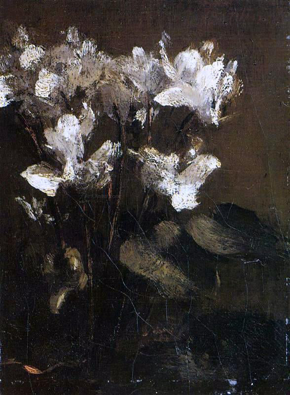 Henri Fantin-Latour Flowers, Cyclamens - Canvas Print