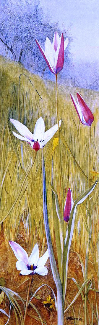 Henry Roderick Newman Flowers in a Landscape - Canvas Print