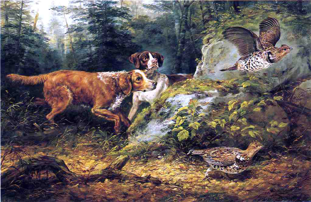 Arthur Fitzwilliam Tait Flushed: Ruffed Grouse Shooting - Canvas Print