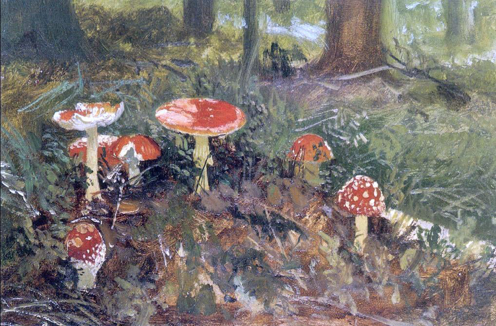 Ivan Ivanovich Shishkin Fly agarics (etude) - Canvas Print