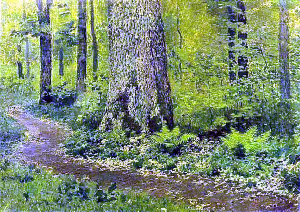 Isaac Ilich Levitan Footpath in a Forest, Ferns - Canvas Print