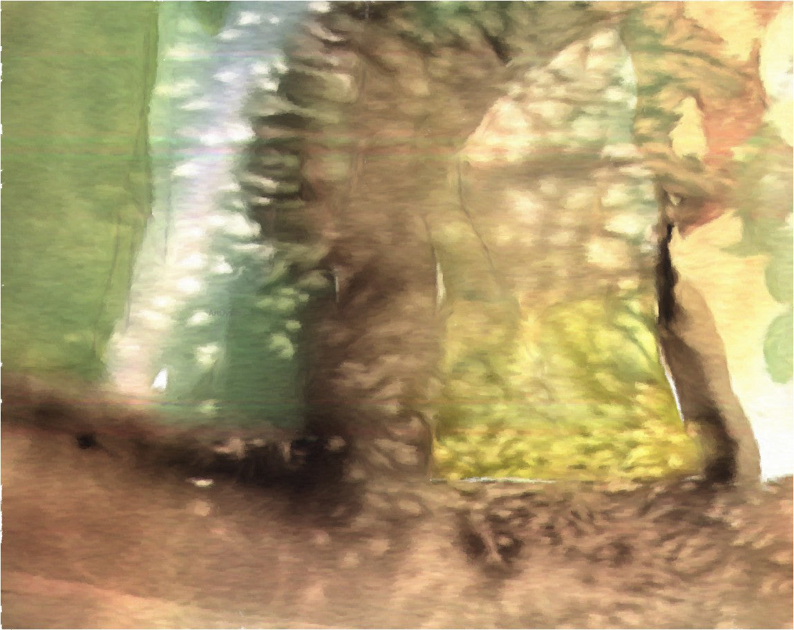 Our Original Collection Forest Abstract - Canvas Print