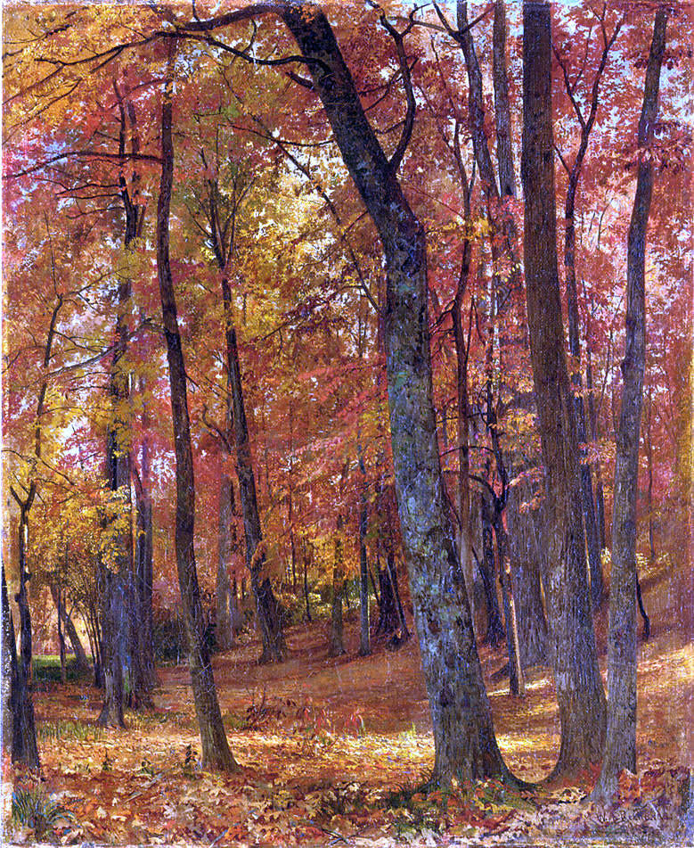 William Trost Richards Forest Interior - Canvas Print