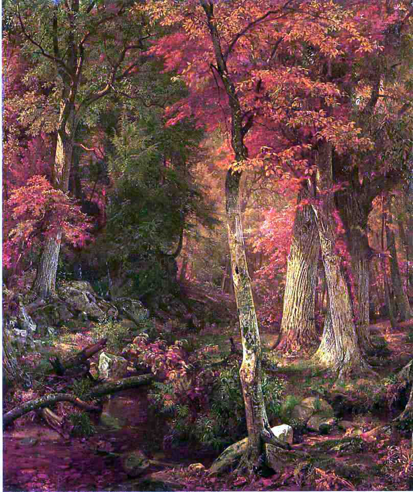 William Trost Richards Forest Interior in Autumn - Canvas Print