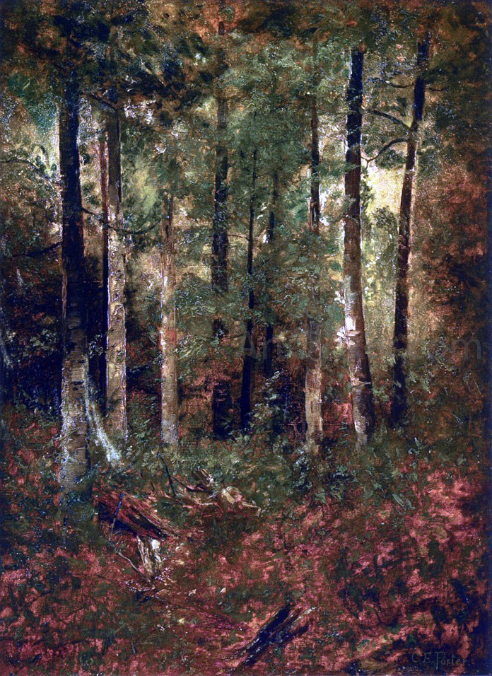 Charles Ethan Porter A Forest Scene - Canvas Print