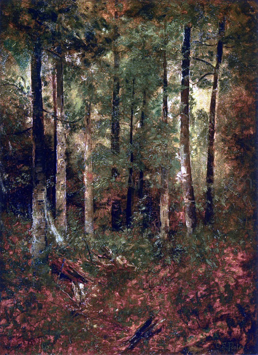 Charles Ethan Porter A Forest Scene - Canvas Print