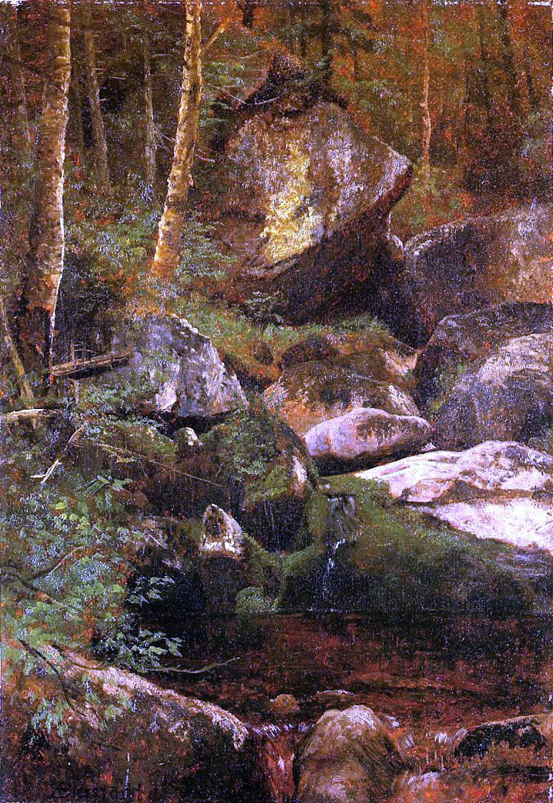 Albert Bierstadt Forest Stream - Canvas Print