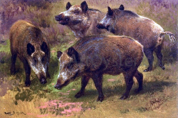 Rosa Bonheur Four Boars in a Landscape - Canvas Print