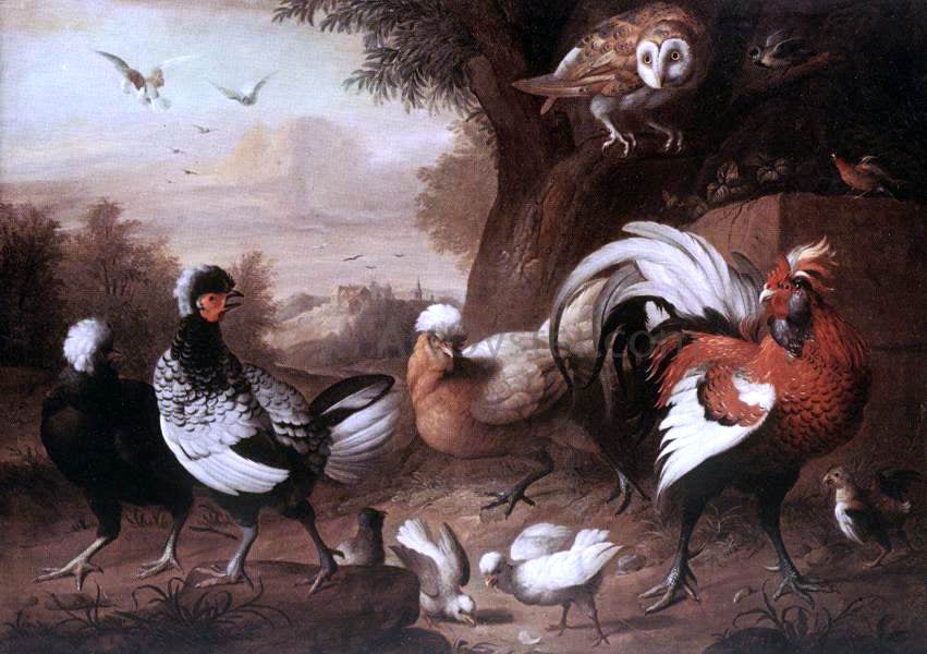Jakab Bogdany Fowls and Owl - Canvas Print