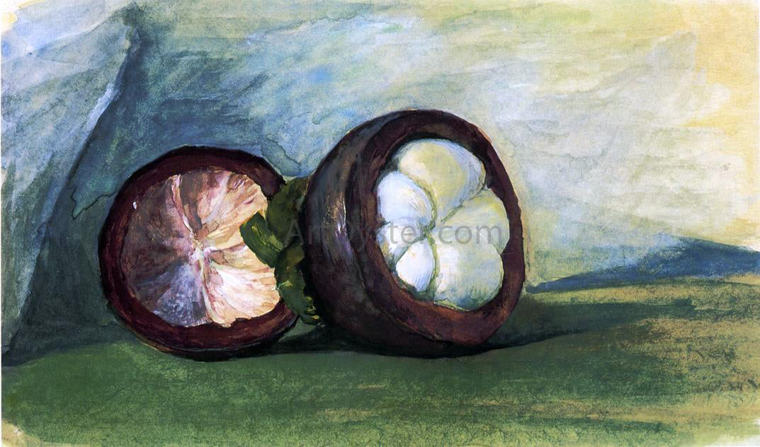 John La Farge Fruit of the Mangosteen, Java - Canvas Print