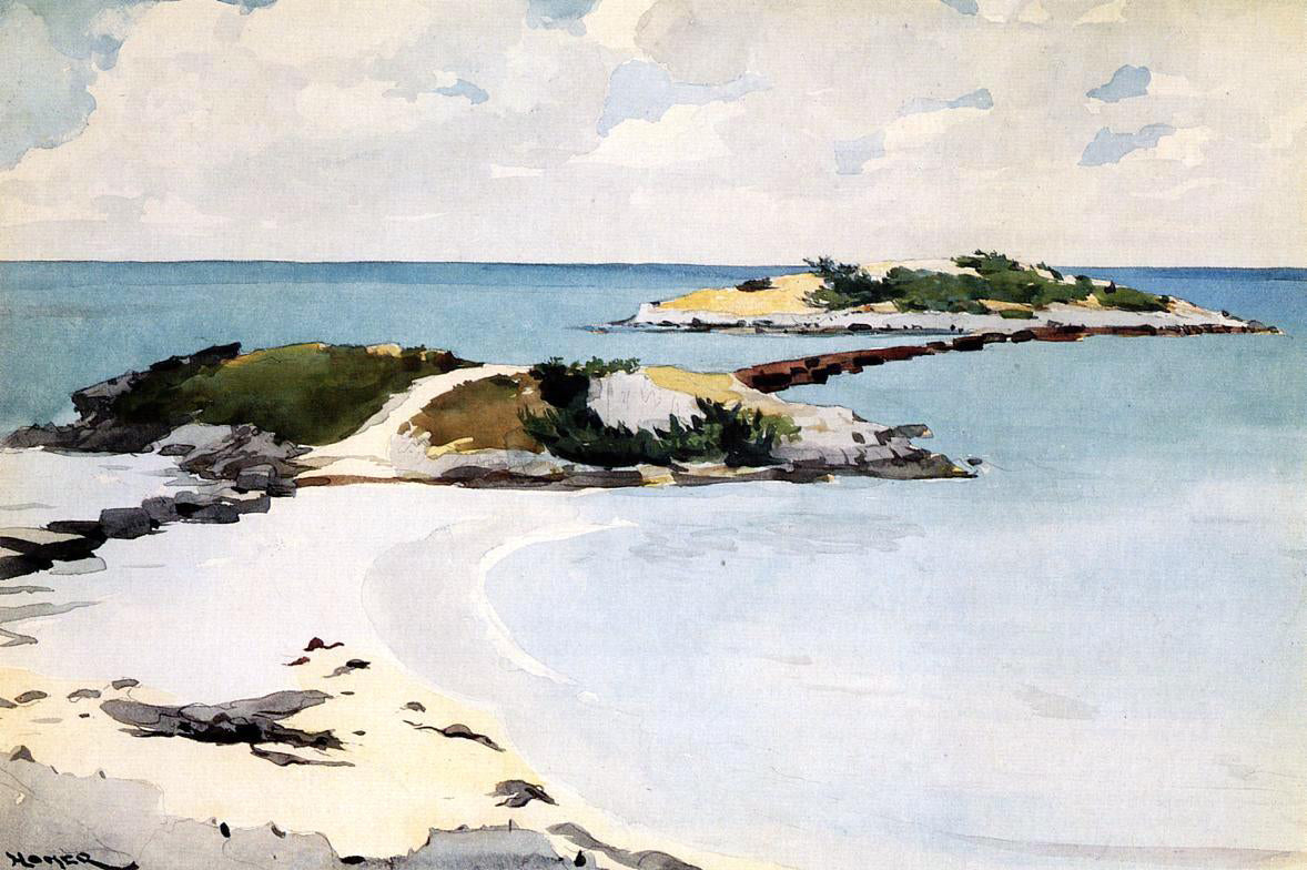 Winslow Homer Gallow's Island, Bermuda - Canvas Print