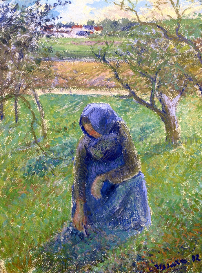Camille Pissarro Gathering Herbs - Canvas Print