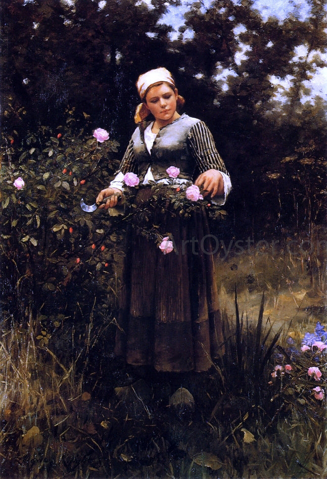 Daniel Ridgway Knight Gathering Roses - Canvas Print