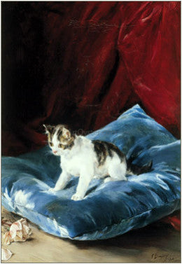 Francisco Domingo Marques Gatito Jugando - Canvas Print