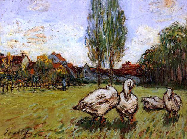 Alfred Sisley Geese - Canvas Print