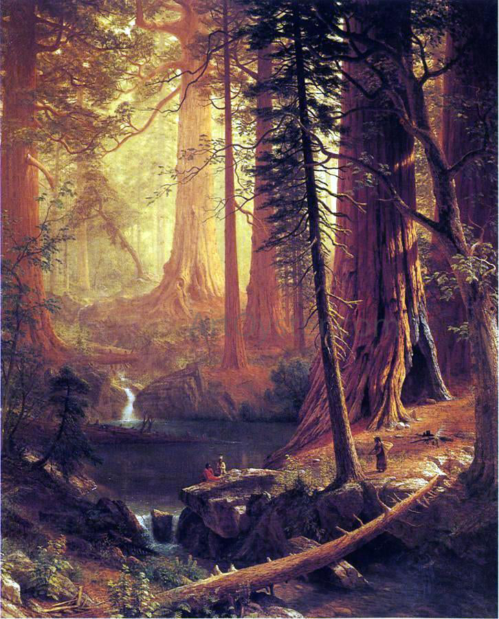 Albert Bierstadt Giant Redwood Trees of California - Canvas Print
