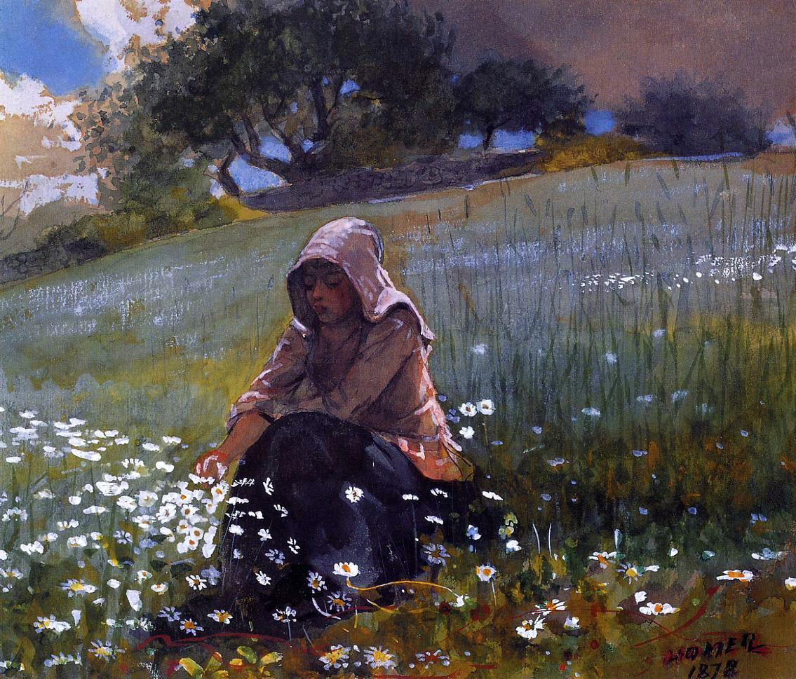 Winslow Homer Girl and Daisies - Canvas Print
