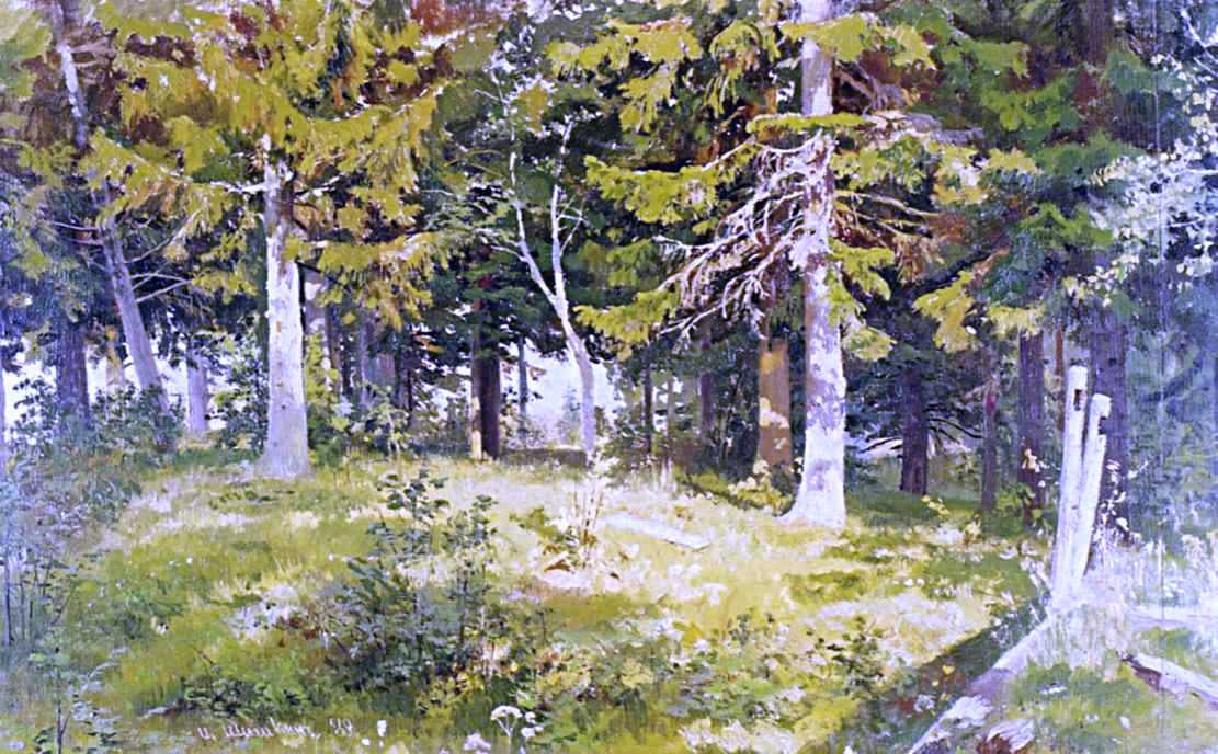 Ivan Ivanovich Shishkin Glade in a Forest - Canvas Print