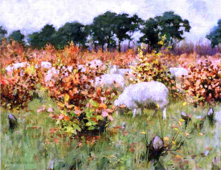 George Hitchcock Grazing Sheep - Canvas Print