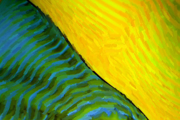 Our Original Collection Green and Yellow Abstract - Canvas Print