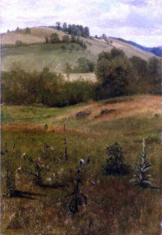 Albert Bierstadt Green Mountains, Vermont - Canvas Print
