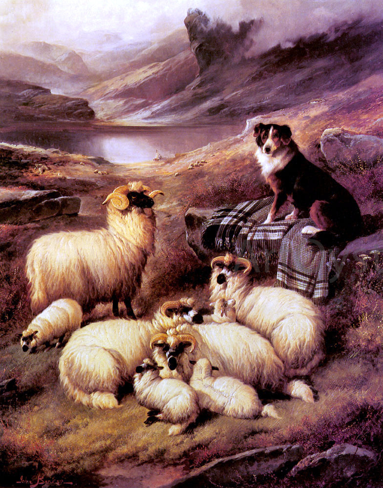 John Barker Guarding his Flock - Canvas Print