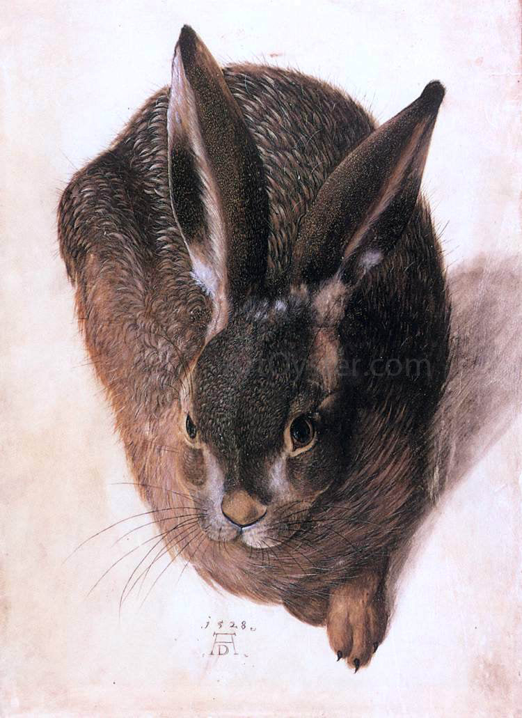 Hans Hoffmann Hare - Canvas Print