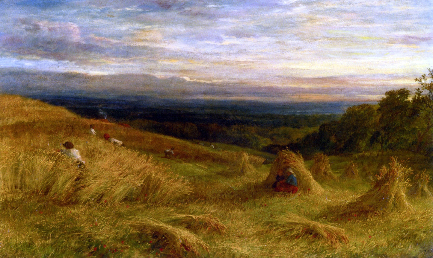 John Linnell Harvest Time in Sussex - Canvas Print