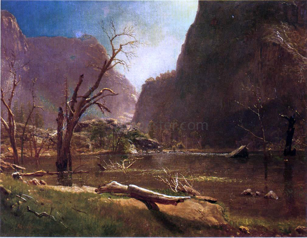Albert Bierstadt Hatch-Hatchy Valley, California - Canvas Print