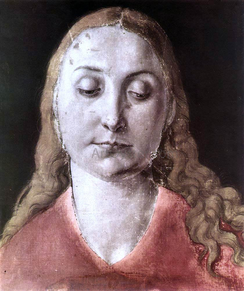 Albrecht Durer Head of a Woman - Canvas Print