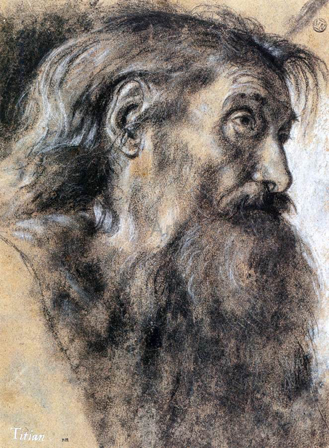 Giovanni Girolamo Savoldo Head of St Jerome - Canvas Print