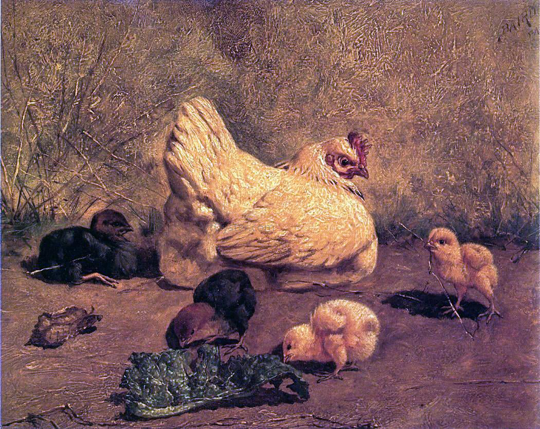 William Baptiste Baird A Hen and Chicks - Canvas Print