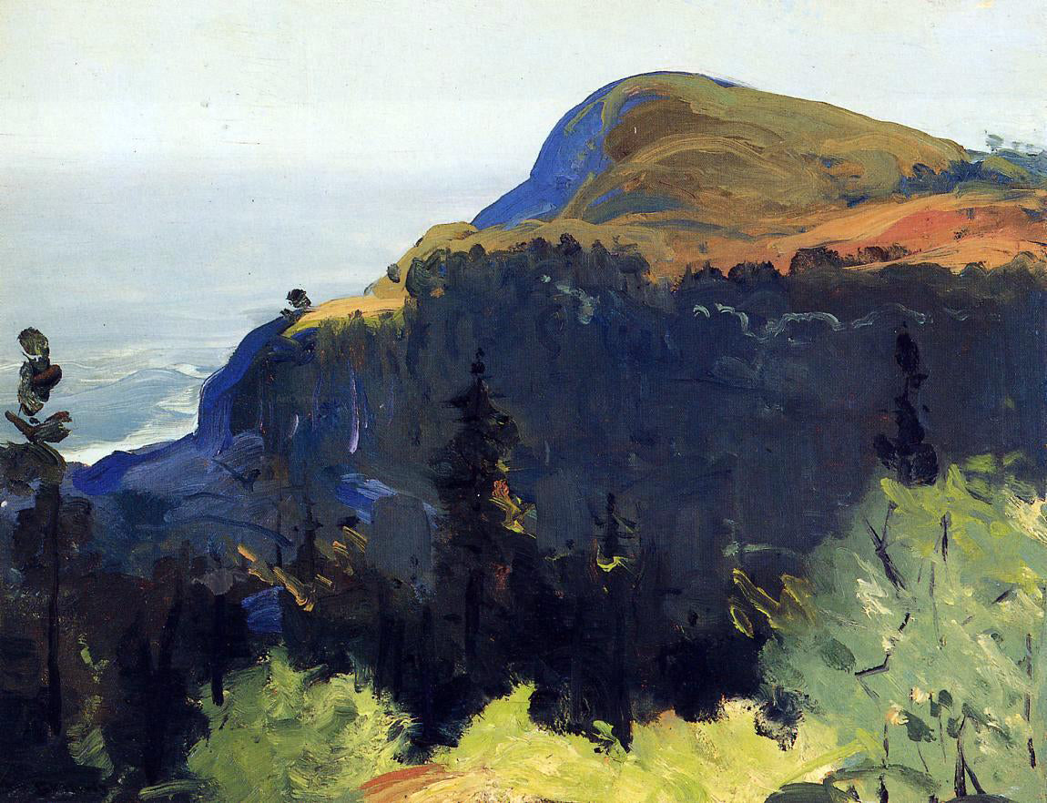 George Wesley Bellows Hill and Valley - Canvas Print