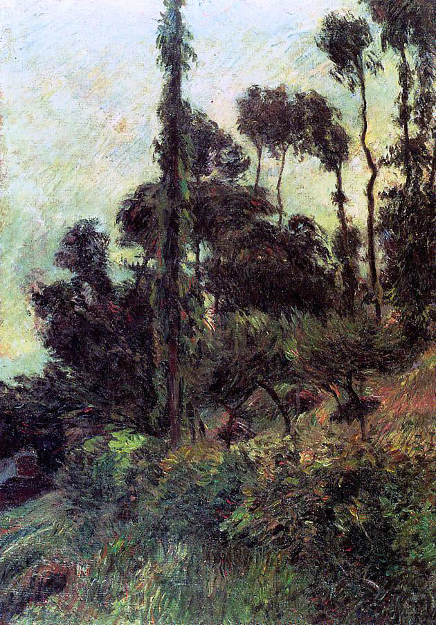 Paul Gauguin Hillside - Canvas Print