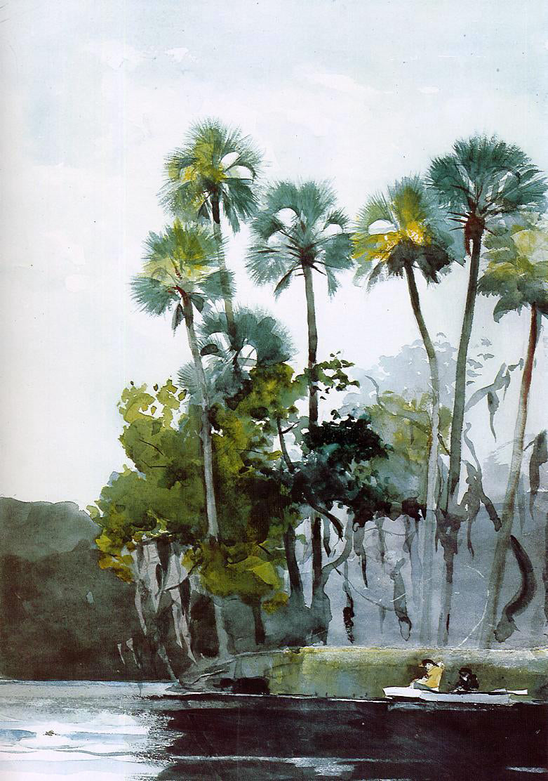 Winslow Homer Homosassa River - Canvas Print