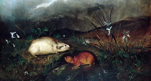 John Woodhouse Audubon Hudson's Bay Lemming - Canvas Print