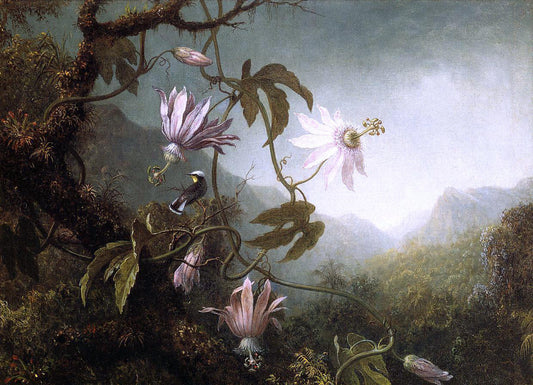Martin Johnson Heade Hummingbird Perched near Passion Flowers - Canvas Print