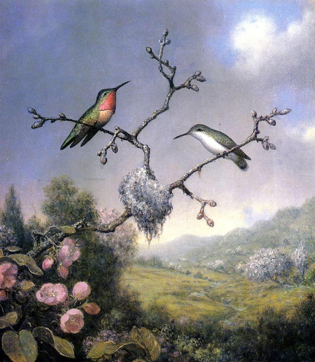 Martin Johnson Heade Hummingbirds and Apple Blossoms - Canvas Print