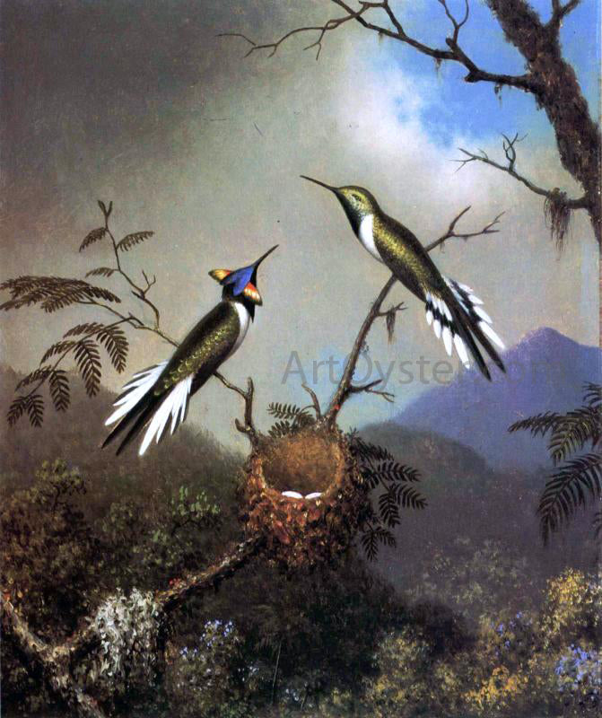 Martin Johnson Heade Hummingbirds at Their Nest - Sun Gems - Canvas Print