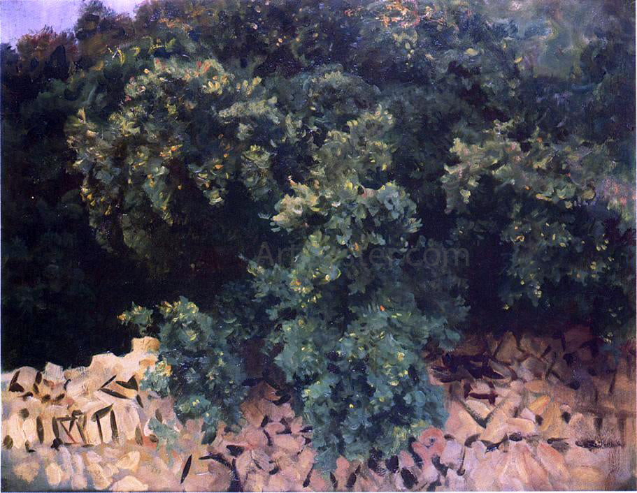 John Singer Sargent Ilex Wood, Majorca - Canvas Print