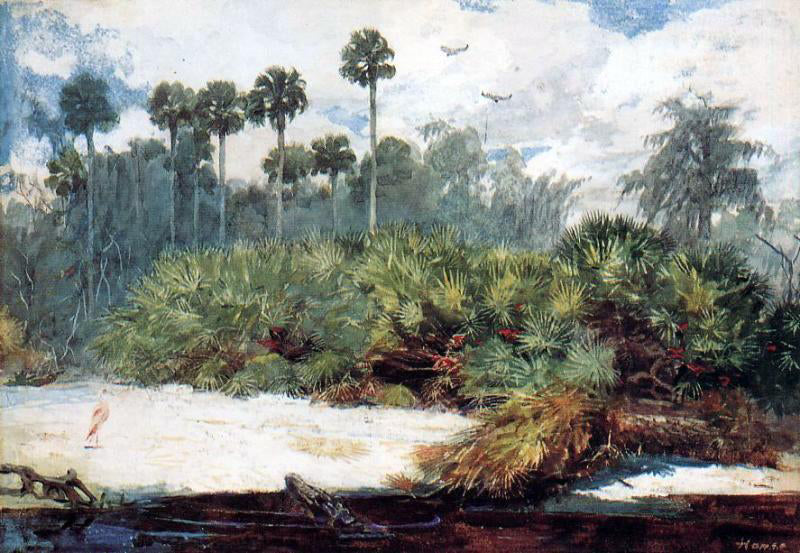 Winslow Homer In a Florida Jungle - Canvas Print