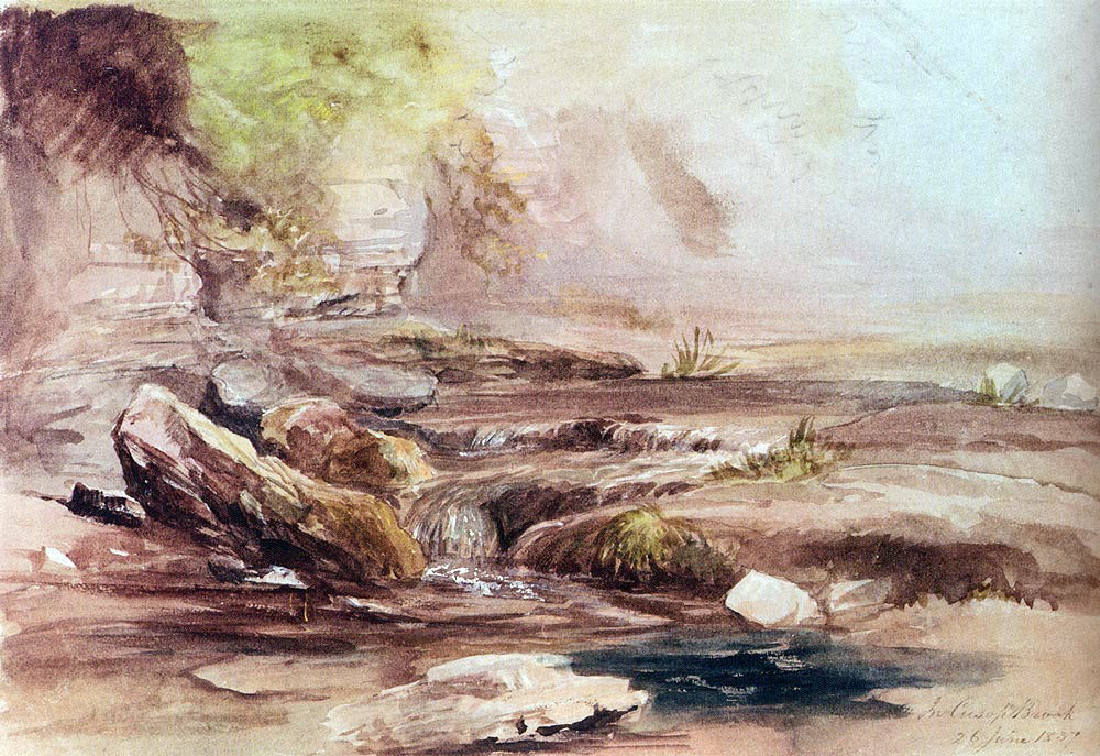 Samuel Palmer In Cusop Brook Near Hay-On-Wye, Wales - Canvas Print