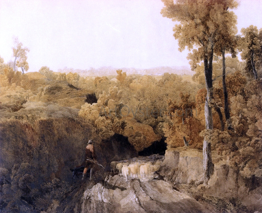 William of Oxford In the Forest of Wychwood - Canvas Print