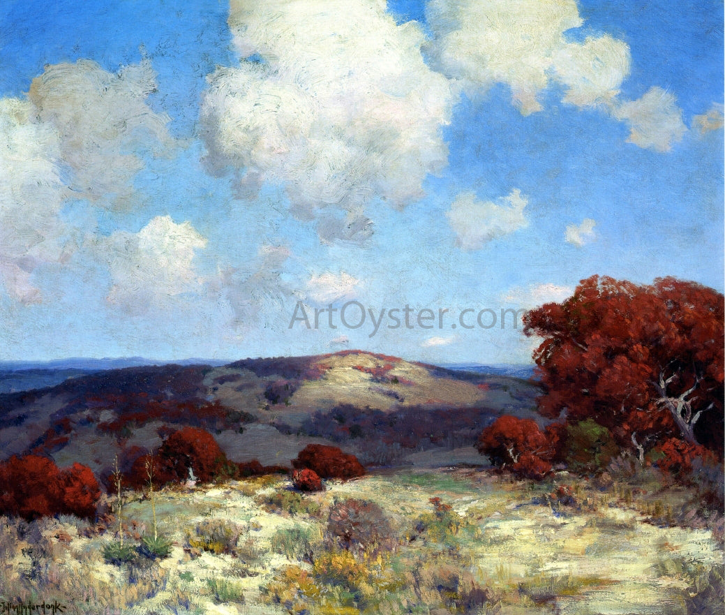 Julian Onderdonk In the Hills of the Spanish Oaks - Canvas Print