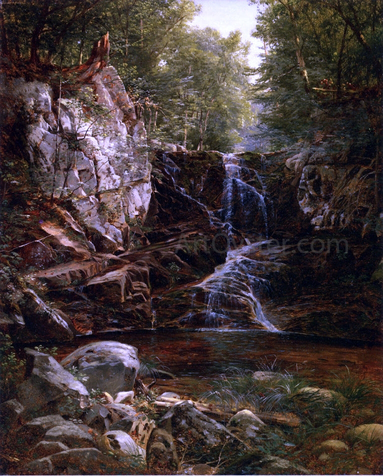 David Johnson Indian Falls - Canvas Print