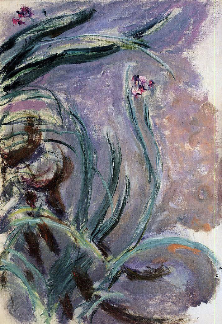 Claude Oscar Monet Irises - Canvas Print