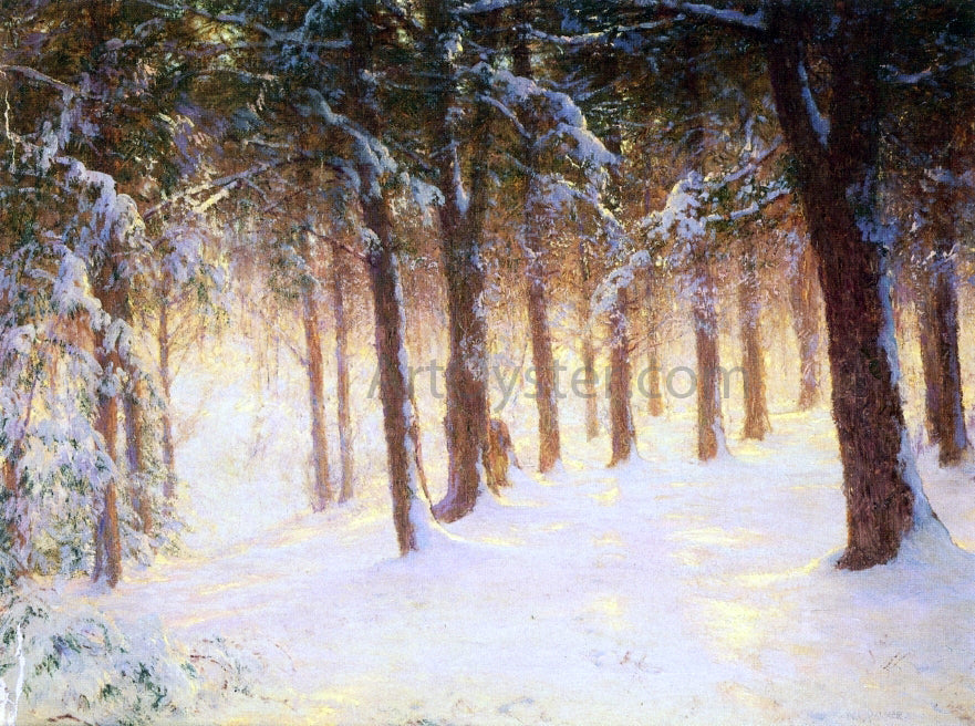 Walter Launt Palmer Jewelled Pines - Canvas Print