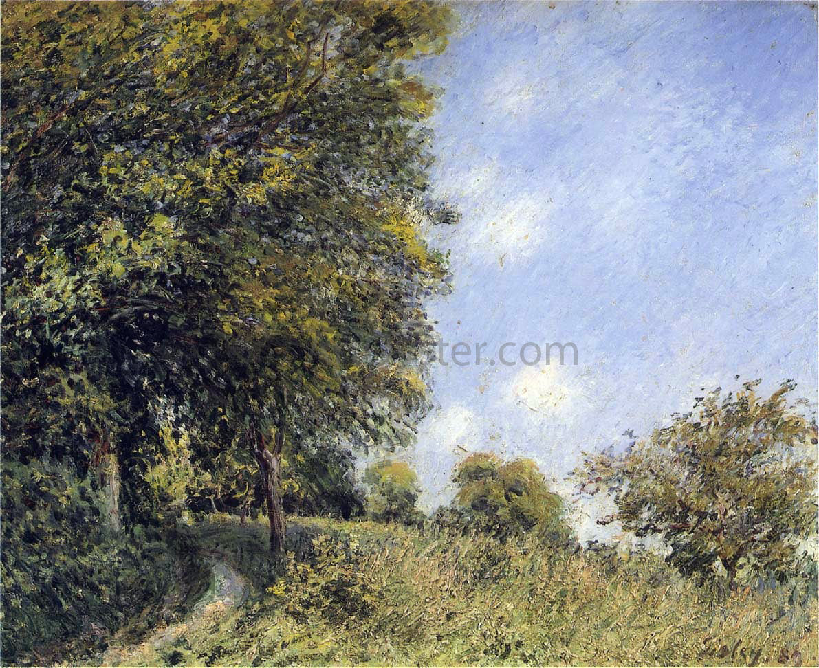 Alfred Sisley July Afternoon near the Forest - Canvas Print